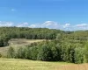 View of nature featuring a rural view