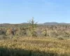 View of nature with a rural view