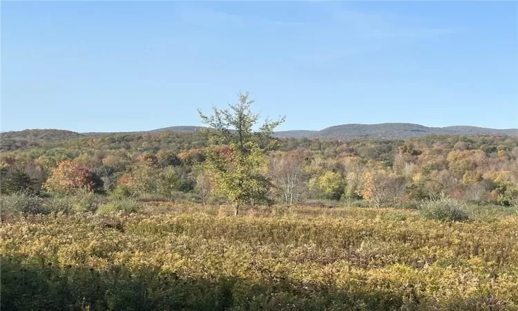 View of nature with a rural view