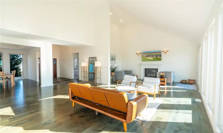 Living room featuring dark hardwood / wood-style flooring and high vaulted ceiling