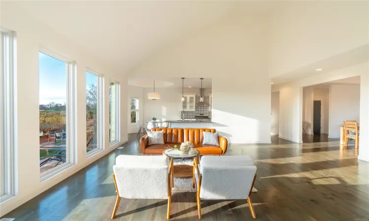 Living room with high vaulted ceiling and dark wood-type flooring