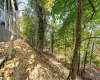 View of the Trail adjacent to Backside of the House