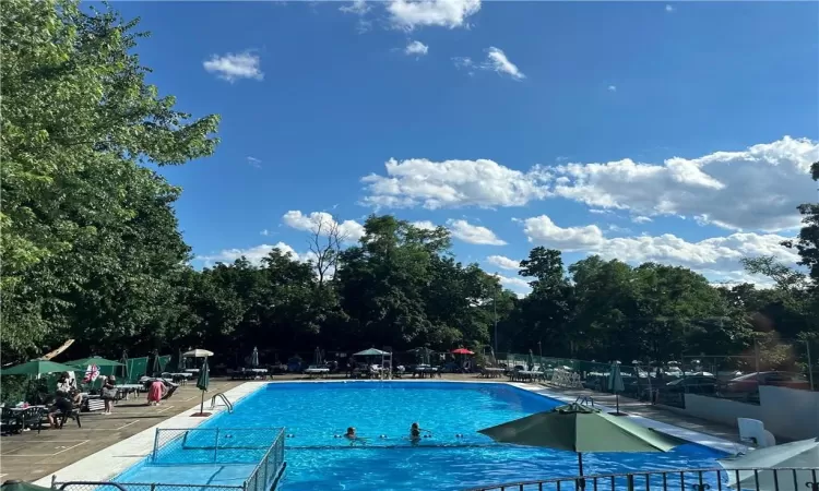 Pool at The Carriage House