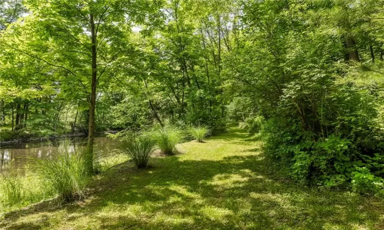 View of lawns adjacent to creek