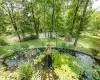 View of Koi Pond and Creek