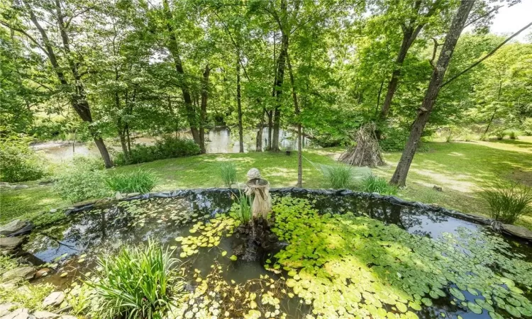 View of Koi Pond and Creek