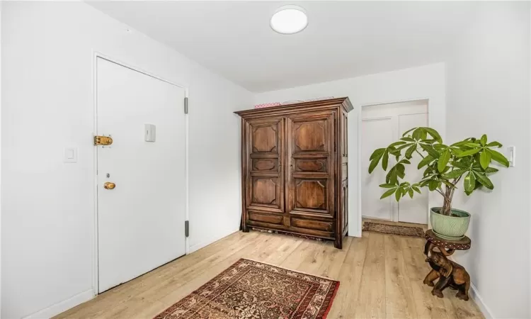 Foyer entrance featuring light hardwood / wood-style floors