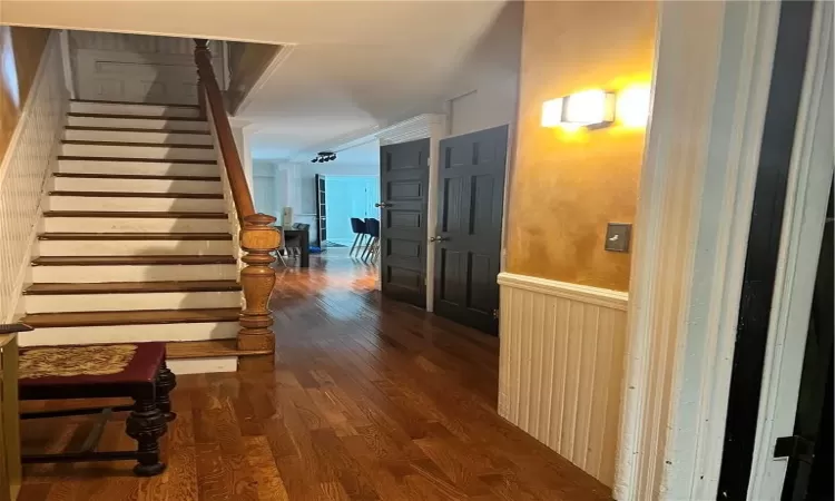 Garden Hallway with dark hardwood / wood-style floors and crown molding