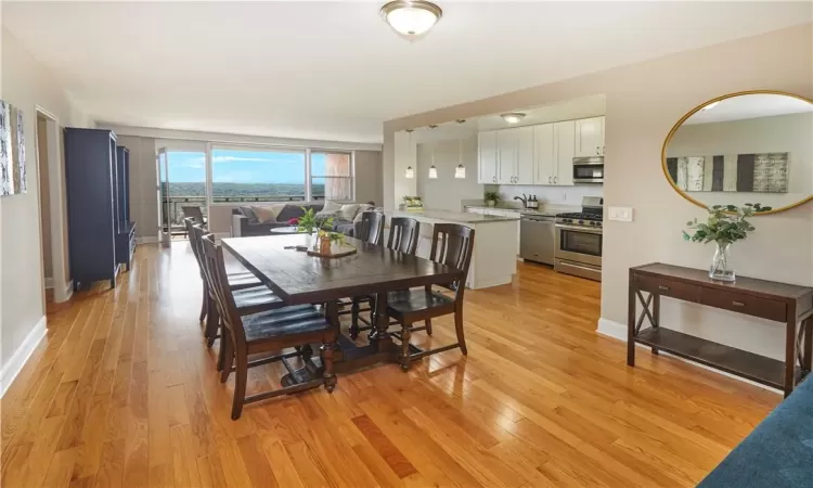 Dining room with light hardwood / wood-style floors