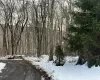 View of snow covered land