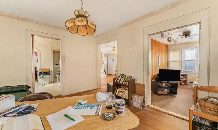 Living room featuring ceiling fan, light hardwood / wood-style flooring, and ornamental molding