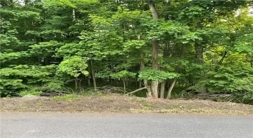 Dorothy Heights, Wappinger, NY, ,Land,For Sale,Dorothy,804086