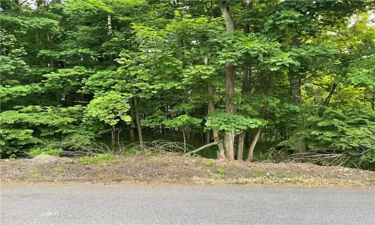 Dorothy Heights, Wappinger, NY, ,Land,For Sale,Dorothy,804086