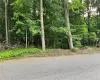 Dorothy Heights, Wappinger, NY, ,Land,For Sale,Dorothy,804086