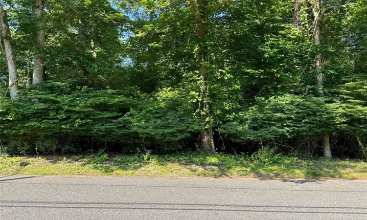 Sweezey Town Road, Brookhaven, NY, ,Land,For Sale,Sweezey Town,803994