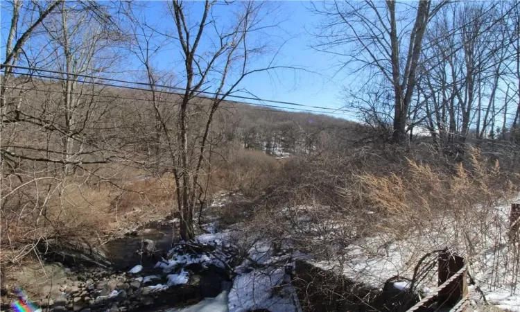 Shandelee Road, Callicoon, NY, ,Land,For Sale,Shandelee,804608