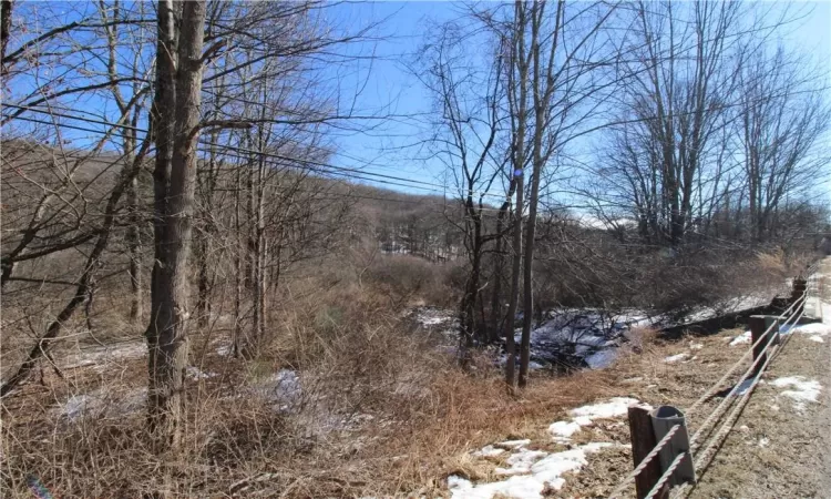 Shandelee Road, Callicoon, NY, ,Land,For Sale,Shandelee,804608