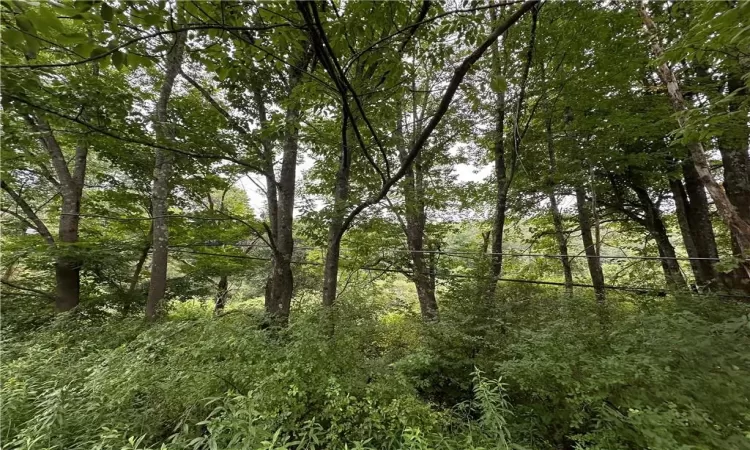 Shandelee Road, Callicoon, NY, ,Land,For Sale,Shandelee,804608