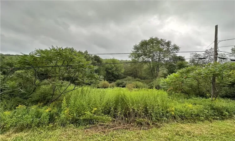 Shandelee Road, Callicoon, NY, ,Land,For Sale,Shandelee,804608