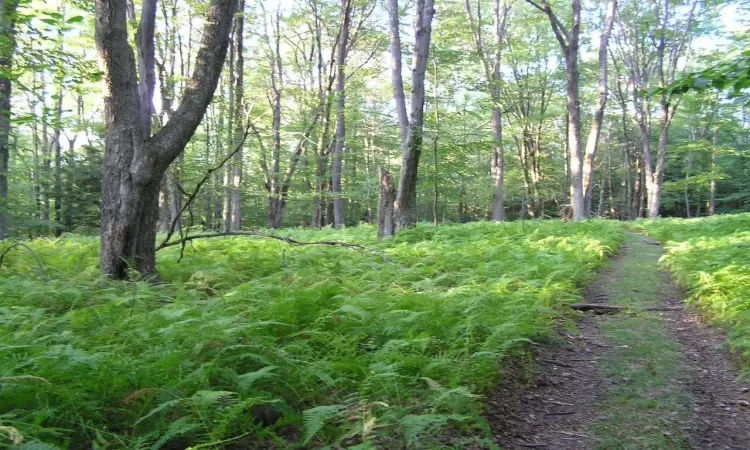 View of landscape