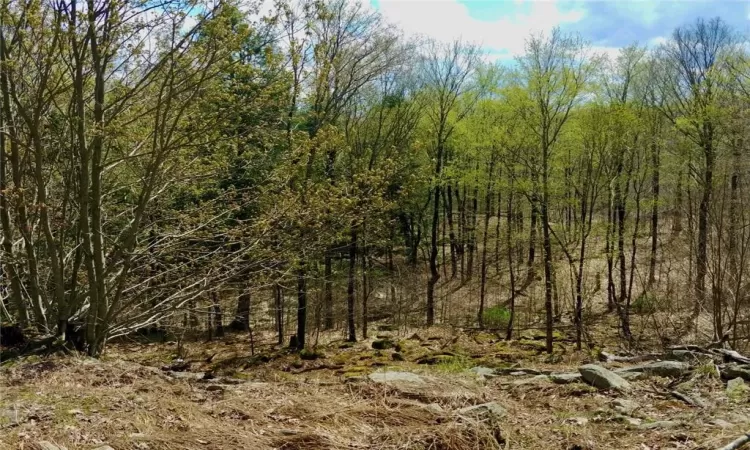 Shandelee Road, Callicoon, NY, ,Land,For Sale,Shandelee,804620