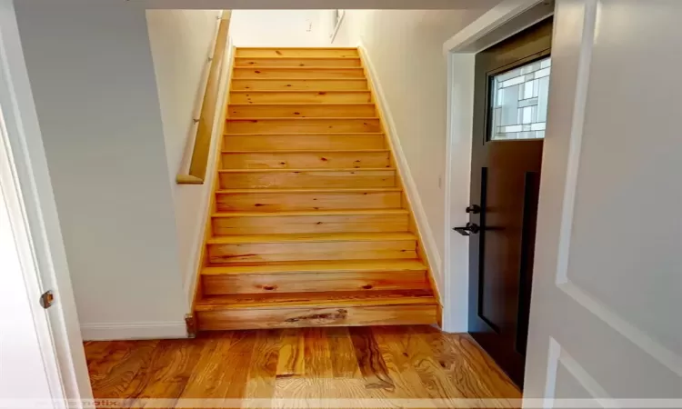 Staircase with hardwood / wood-style flooring