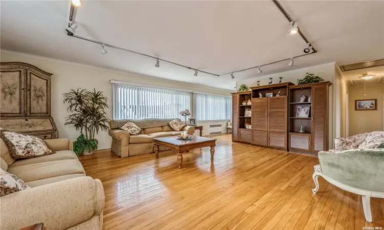 Living room featuring track lighting, crown molding, and light hardwood / wood-style flooring