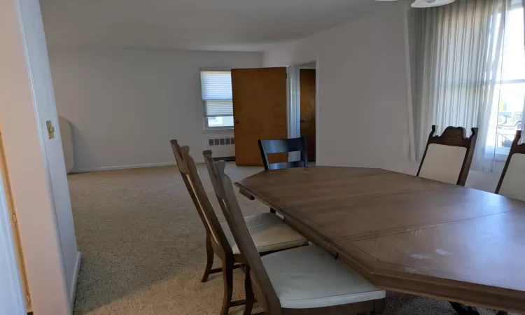 Carpeted dining room featuring radiator heating unit and a healthy amount of sunlight