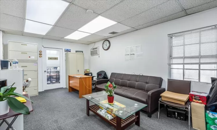 Carpeted living room with a drop ceiling and plenty of natural light