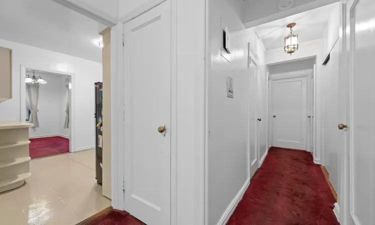 Unfurnished living room featuring carpet flooring, ornamental molding, and radiator