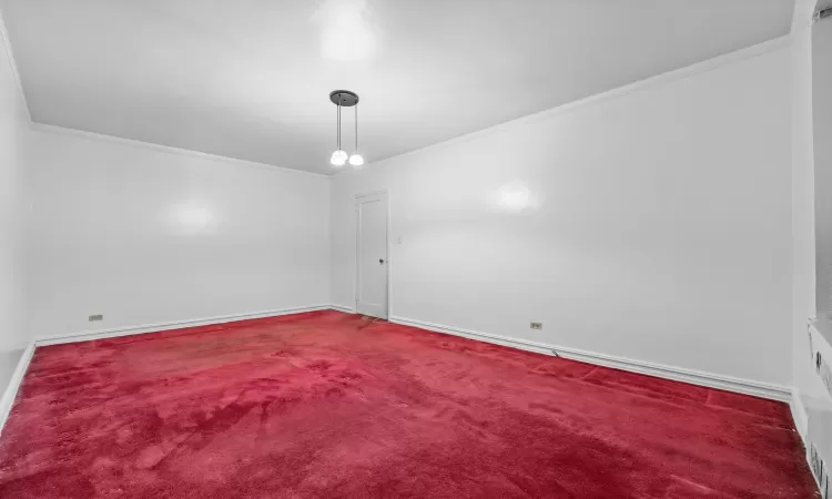 Unfurnished room with carpet flooring and ornamental molding