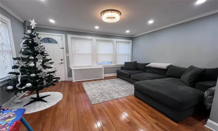 Living room featuring hardwood / wood-style flooring, crown molding, and radiator