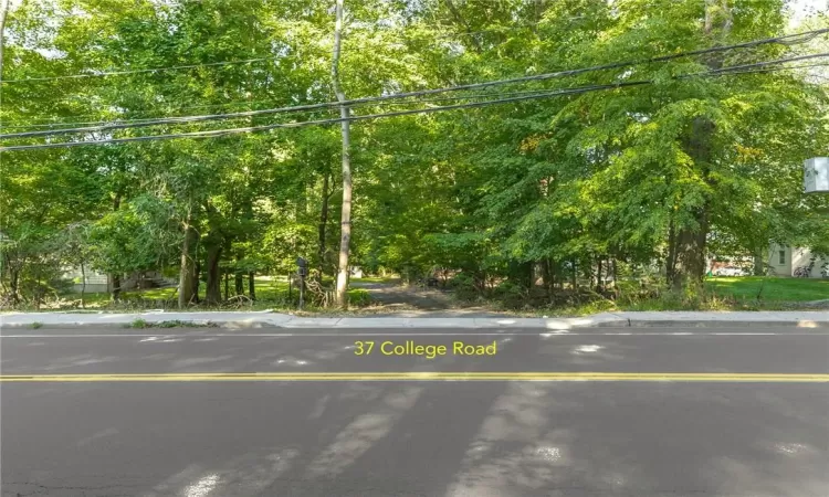 Driveway on College Rd.