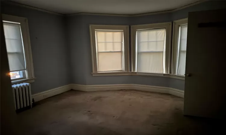 Carpeted empty room featuring radiator and ornamental molding