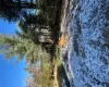 View of snowy yard