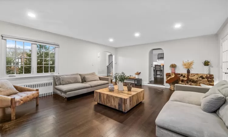 Living room with crown molding, radiator heating unit, and dark wood-type flooring