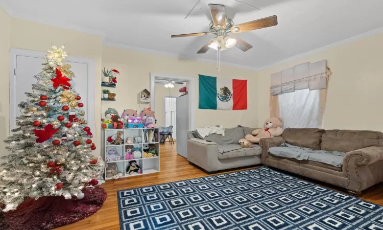 Living room with ceiling fan, hardwood / wood-style floors, and ornamental molding