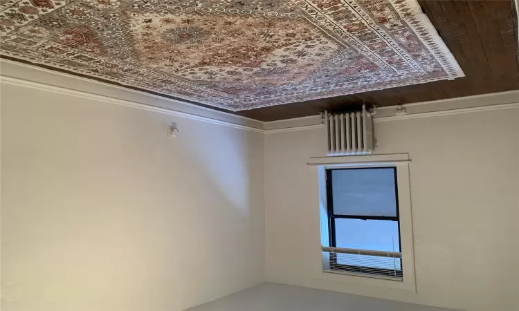 Spare room featuring radiator heating unit and dark hardwood / wood-style floors