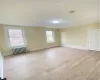 Unfurnished room featuring radiator, plenty of natural light, and light hardwood / wood-style floors