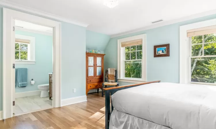 Bedroom with ensuite bath, light hardwood / wood-style flooring, and multiple windows