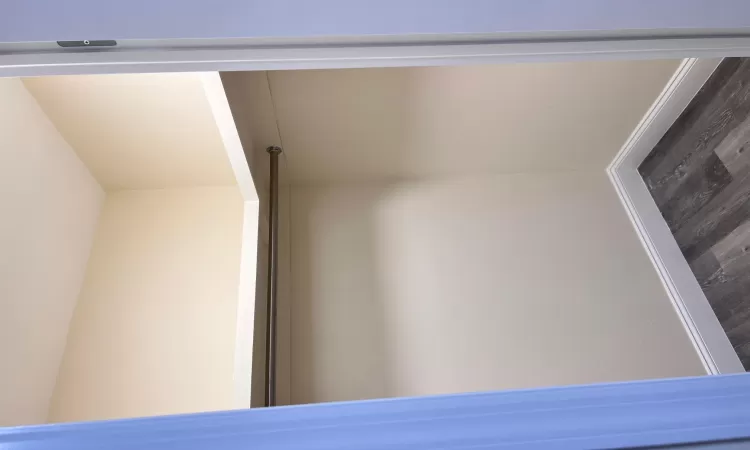 Spacious closet featuring dark wood-type flooring