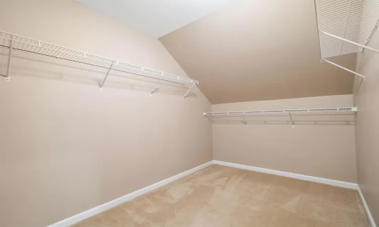 Virtually staged2nd bedroom with massive walk-in closet