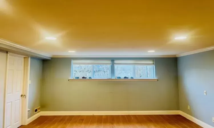 Basement featuring crown molding, a healthy amount of sunlight, and hardwood / wood-style flooring