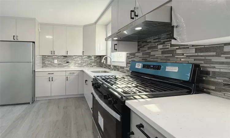 Kitchen featuring backsplash, stainless steel appliances, sink, light hardwood / wood-style floors, and range hood