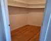 Spacious closet featuring wood-type flooring