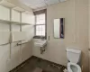 Bathroom featuring toilet, a drop ceiling, and sink