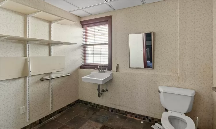 Bathroom featuring toilet, a drop ceiling, and sink