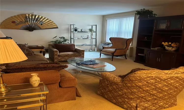 Living room featuring light colored carpet