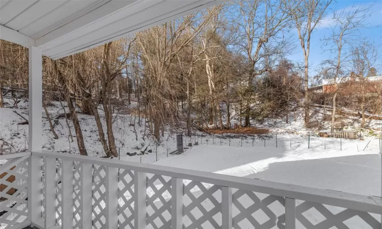 Covered back porch