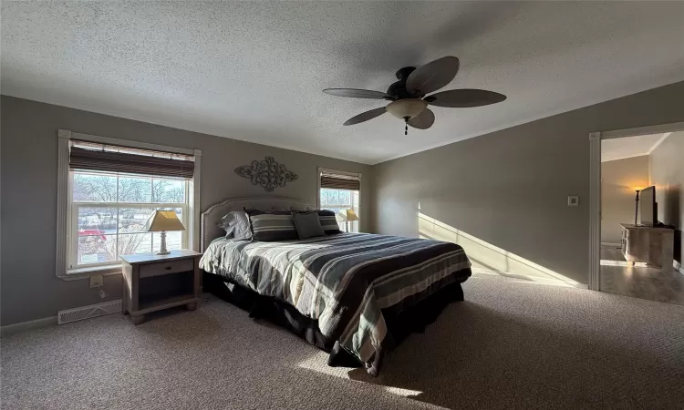 Carpeted bedroom featuring ceiling fan, crown molding, and a textured ceiling